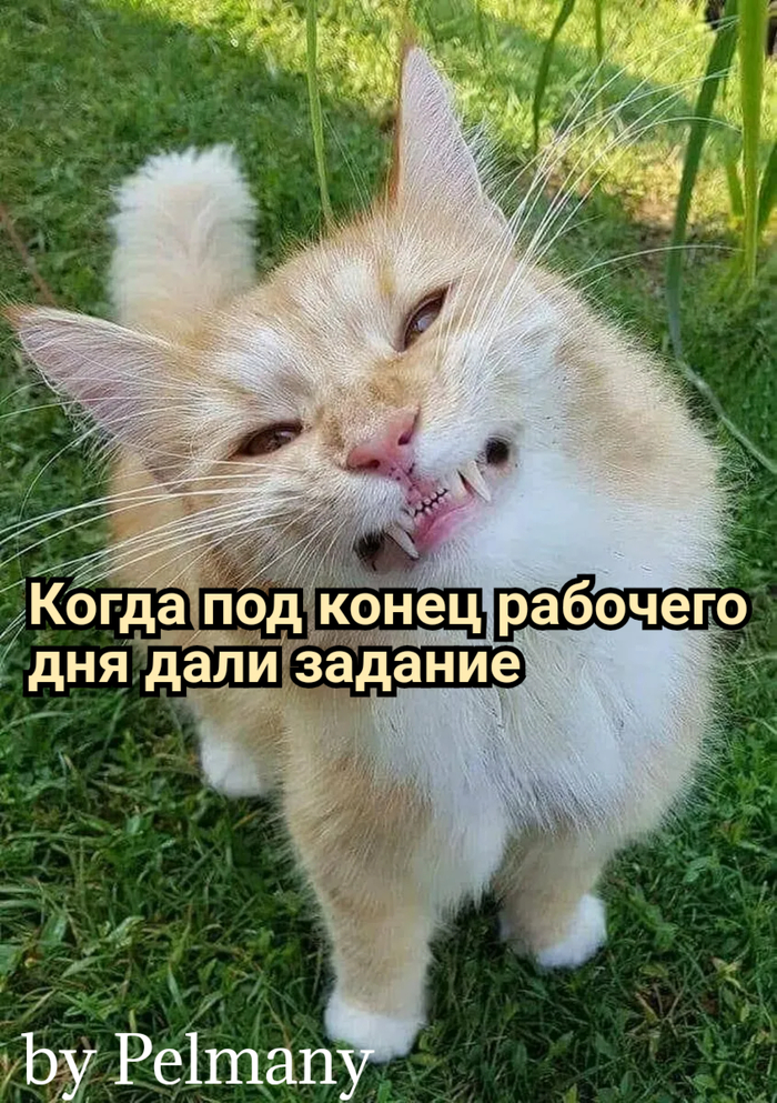 Итак каждый день