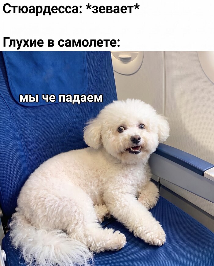 Мимика