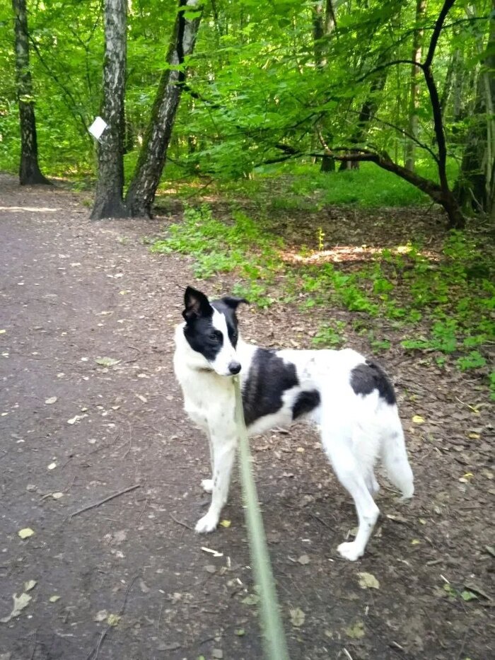 Бусинка