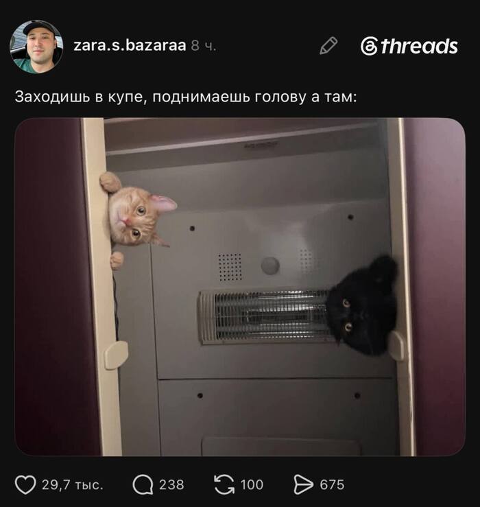 � ��� ��������� ���������