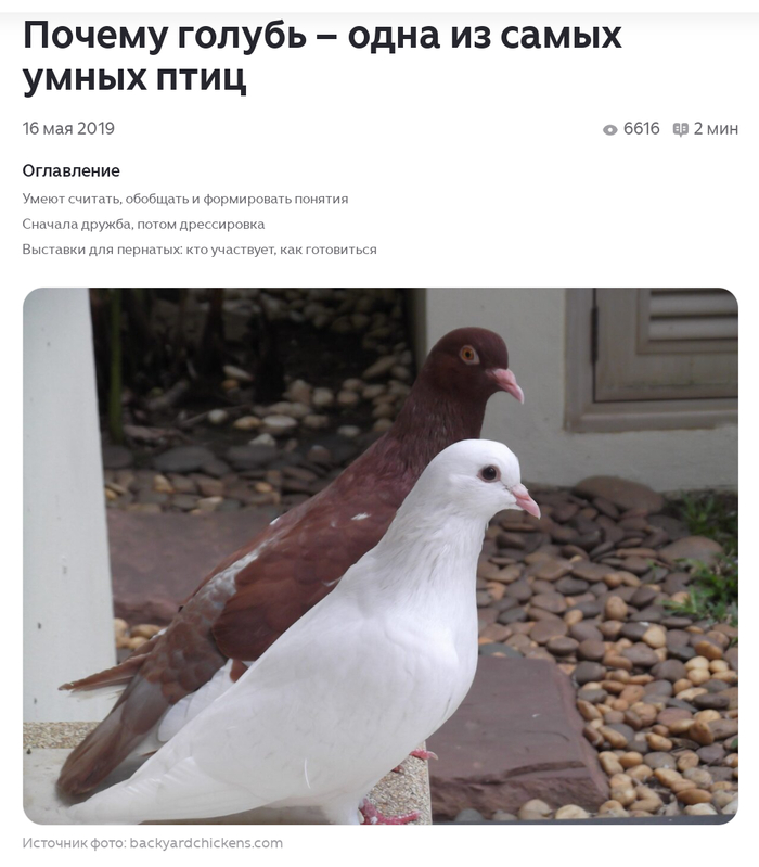 ��� ������� � �� ��