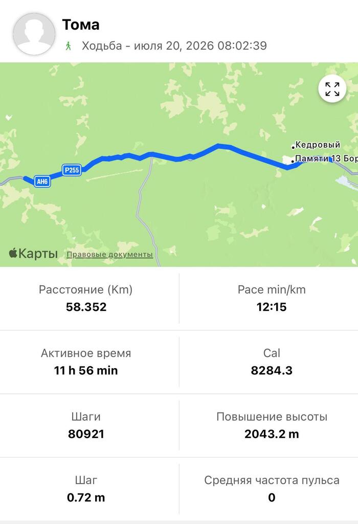 ��������: Telegram-����� ������� ����� ������ | ������ -> �����������