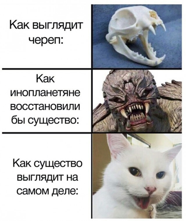 � ����� ������ ��� �������� ��������...