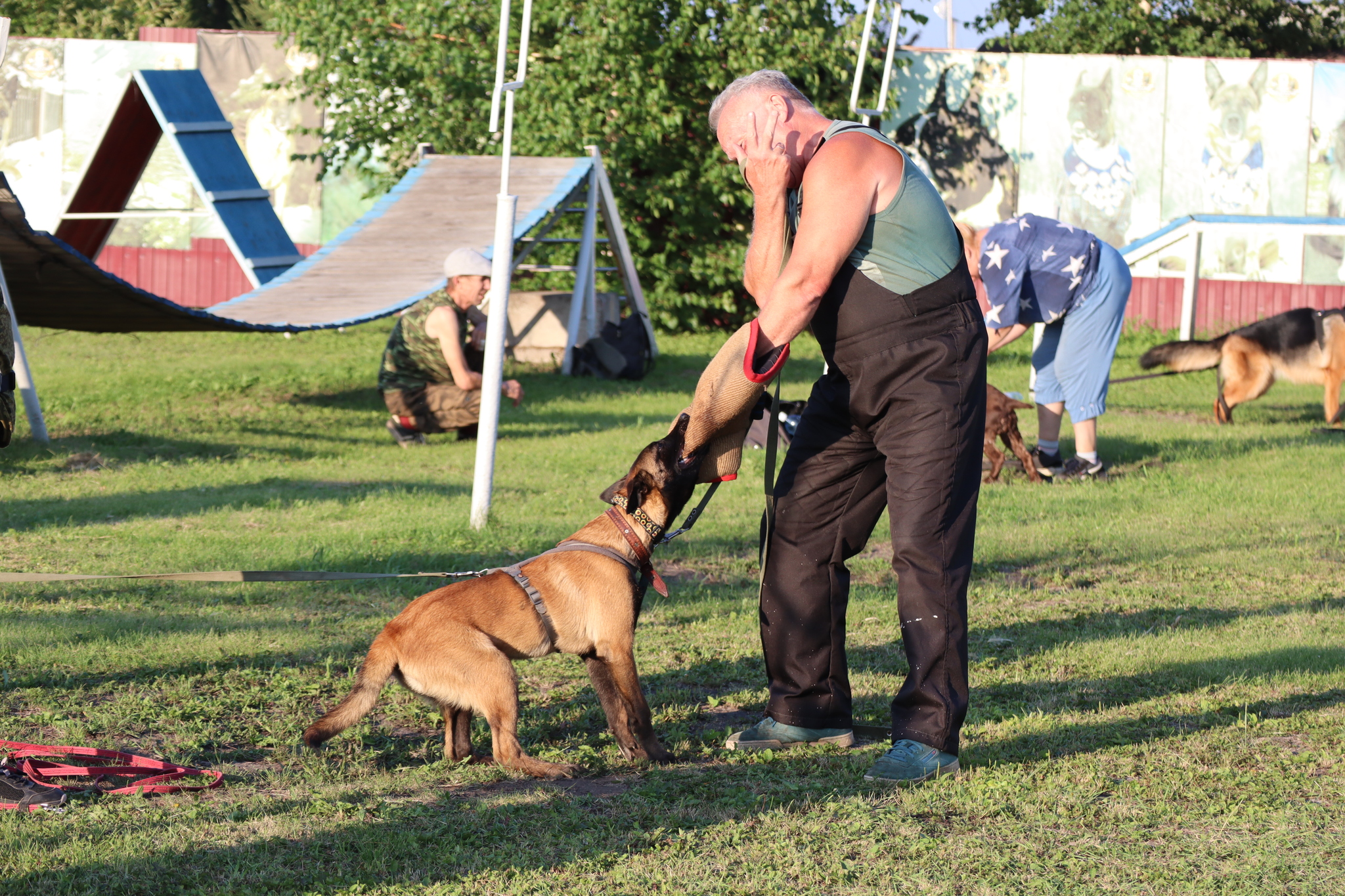 Dog training in Omsk - OCSSSS 07/29/2026 - Puppies, Friends, Omsk, Training, Г“Г±Г±Г±