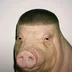 Tr0y1337