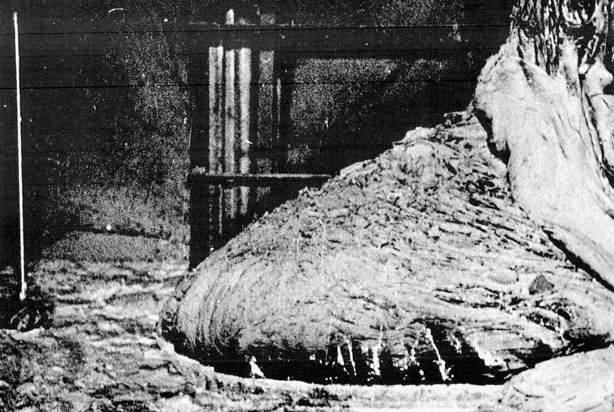 A new threat was searched under the fourth power unit: what scientists discovered inside the reactor - Series Chernobyl Declassified Chronicle, My, Scientists, Ecology, the USSR, История России, 20th century, History, Civilization, Chernobyl, Chernobyl: Exclusion Zone, Want to know everything, Radiation, History (science), Past, Longpost