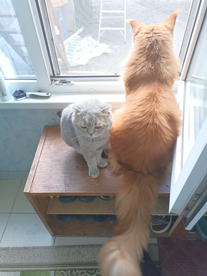 Прошу совета