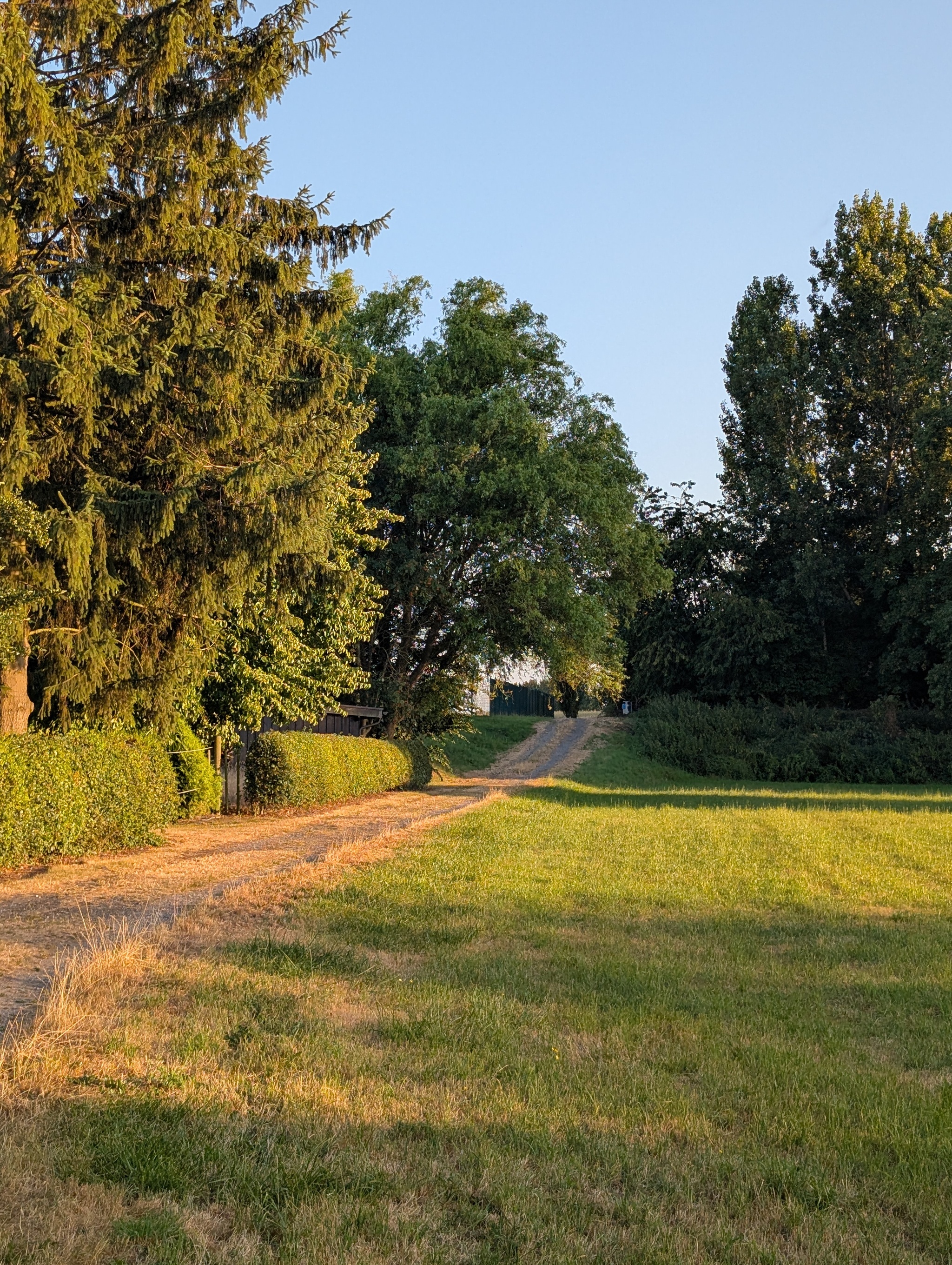 Suburb - My, Germany, Suburb, Walk, Sunset, Longpost