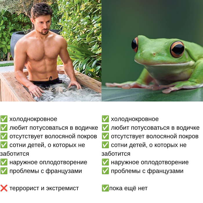 �� ��� � ���
