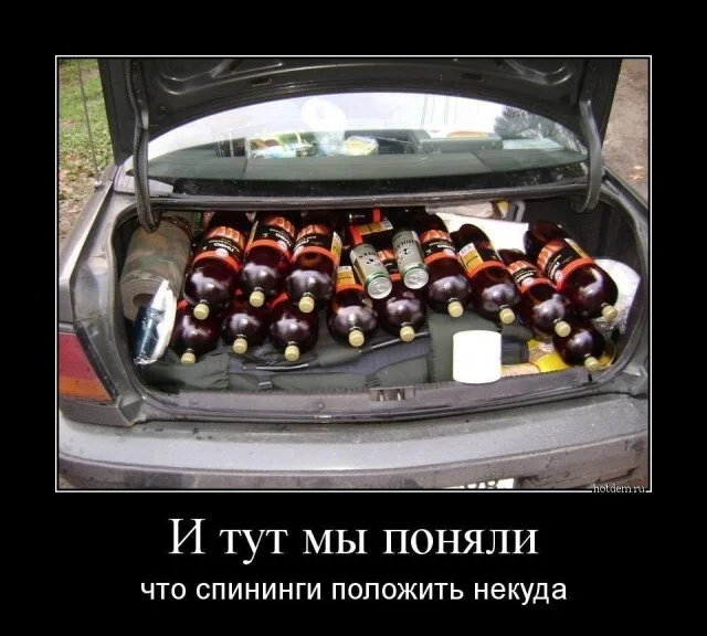 Pictures - Series From the Internet, Humor, Girls, A selection, Vulgarity, Images, Picture with text, Neckline, cat, Sarcasm, Banter, Irony, Wordplay, From the network, Longpost