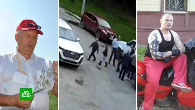 Response to the post A suspect in the beating of a Russian Academy of Sciences scientist was detained in Yekaterinburg. - Yekaterinburg, Conflict, Detention, Attack, Video, Crime, Children, Short videos, Soundless, Longpost, Negative, Reply to post, MAX messenger (link)