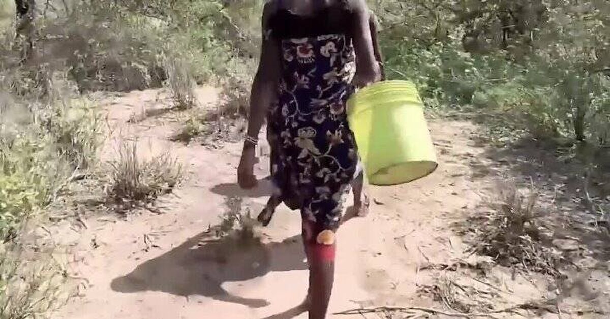 Documentary The Hadza People: The World of the Last Hunter-Gatherers - Civilization, Africa, Tanzania, Documentary, Video VK, Video