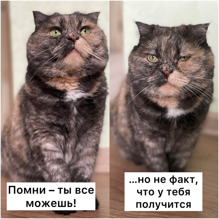 Поддержка всегда очень важна
