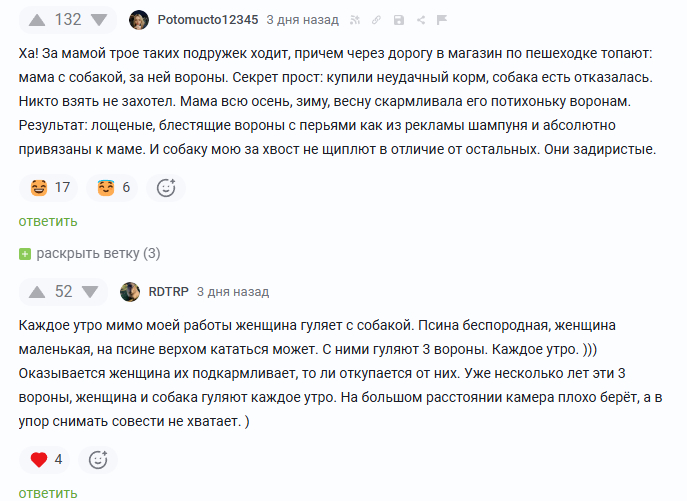 Мир тесен