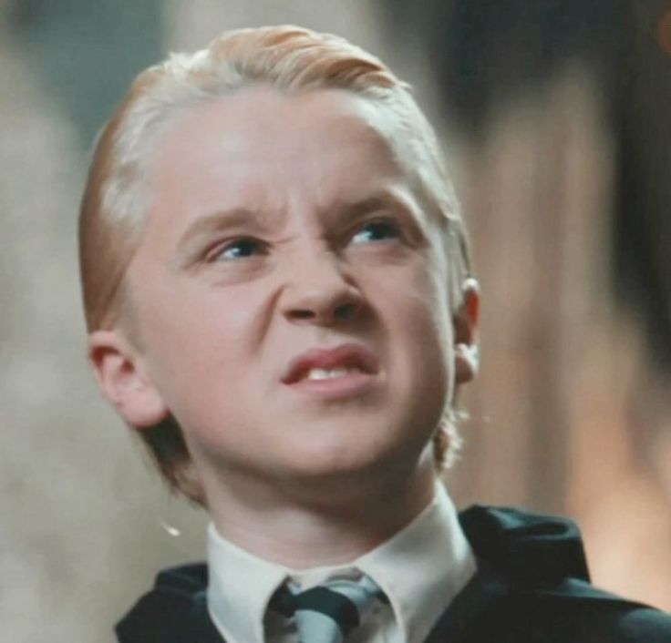 HARRY VS THE CRAWLERS 4. Chapter 8 - Series Harry vs Critters4, My, Humor, Harry Potter, Фанфик, Adventures, Black humor, Parody, Hogwarts, Draco Malfoy, Crabb, Longpost