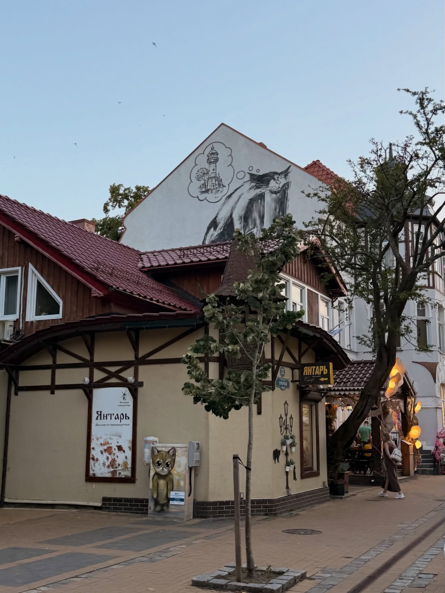 Cozy cat town - My, City walk, Street photography, Kaliningrad region, Zelenogradsk, Cities of Russia, Fluffy, cat, Crazy Cat Girl, Resorts in Russia, Longpost