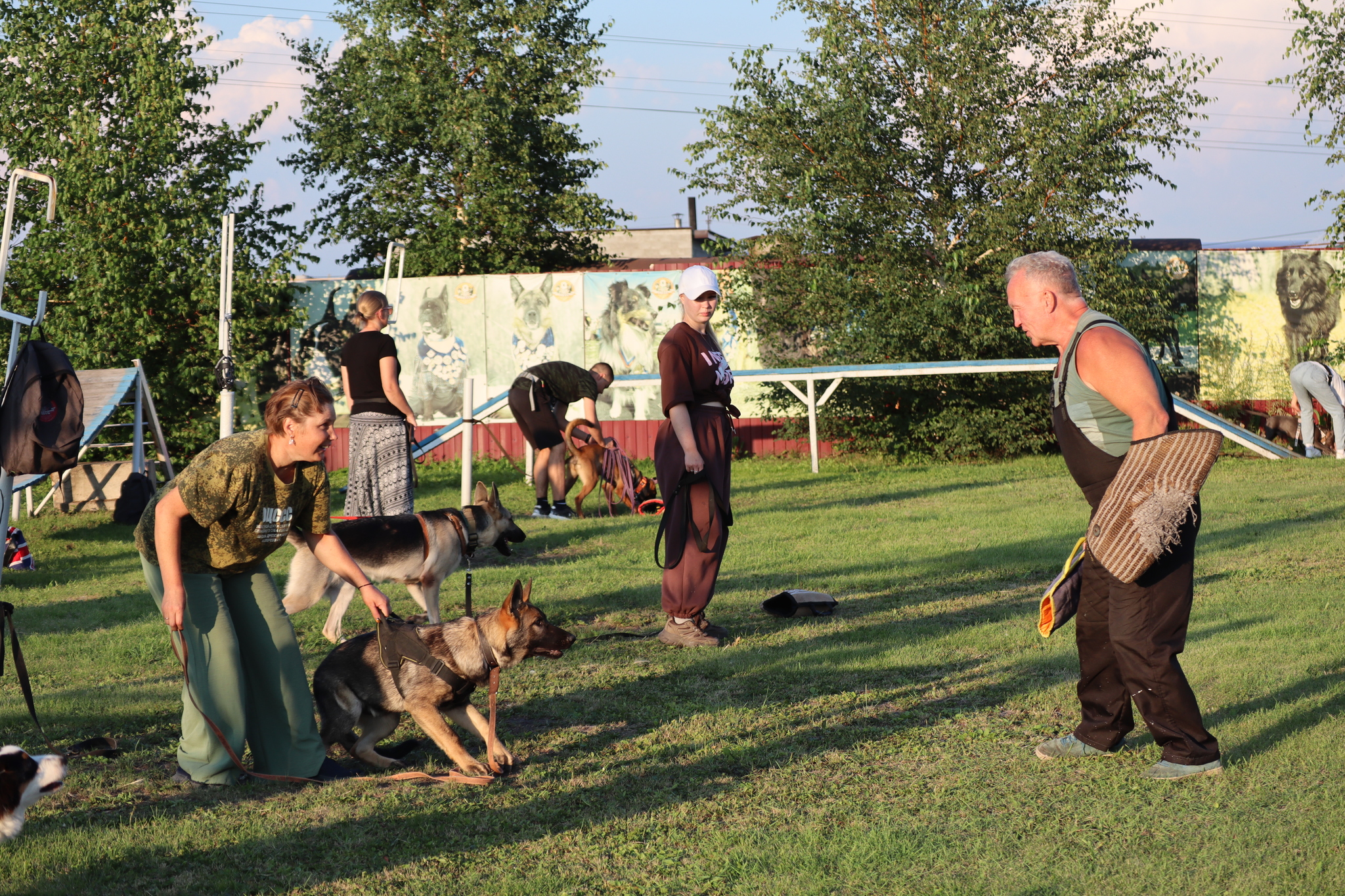 Dog training in Omsk - OCSSSS 07/29/2026 - Puppies, Friends, Omsk, Training, Г“Г±Г±Г±