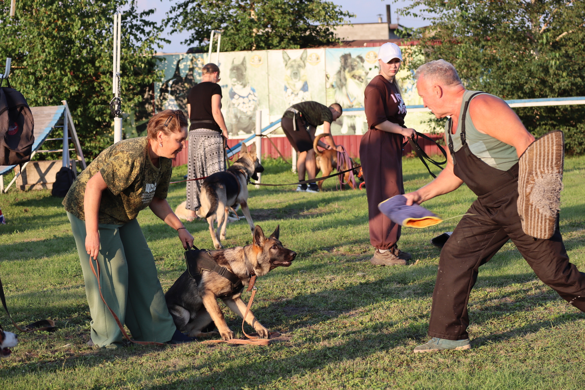 Dog training in Omsk - OCSSSS 07/29/2026 - Puppies, Friends, Omsk, Training, Г“Г±Г±Г±