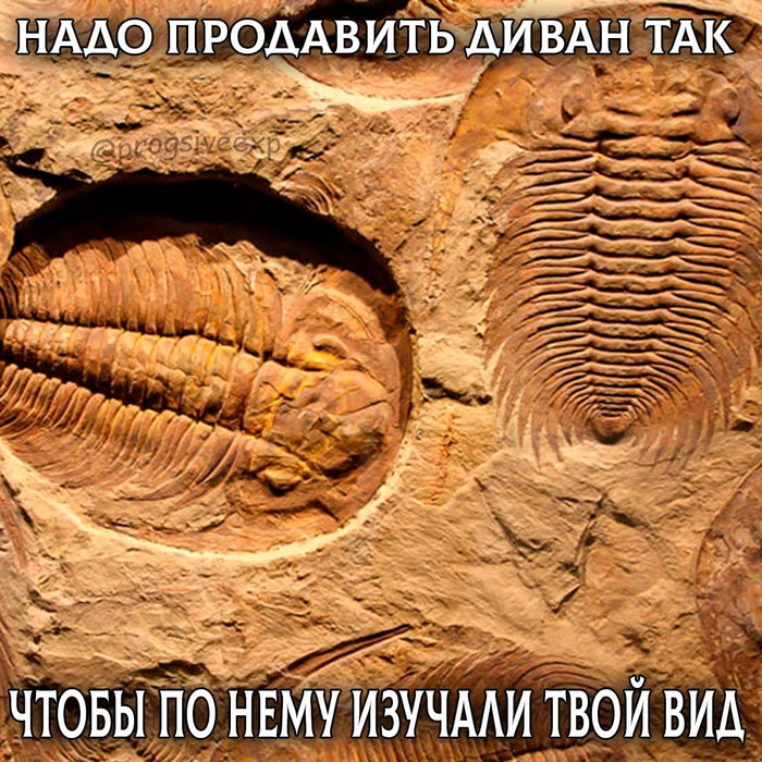 Встречаем субботу правильно!