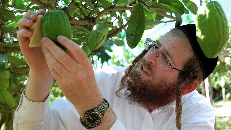 Adam and Eve did not eat the apple - My, Reality, Thinking, Science and religion, Personality, Bible, Longpost