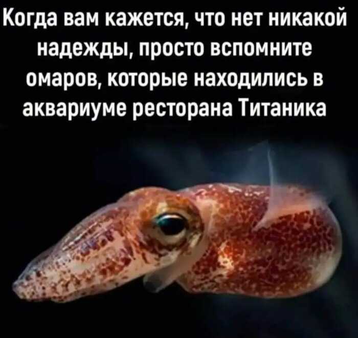Response to the post Not a funny joke - Neural Network Content, Nauchpop, Biology, Humor, Internet, Sense of humor, Scientists, Reply to post, Longpost