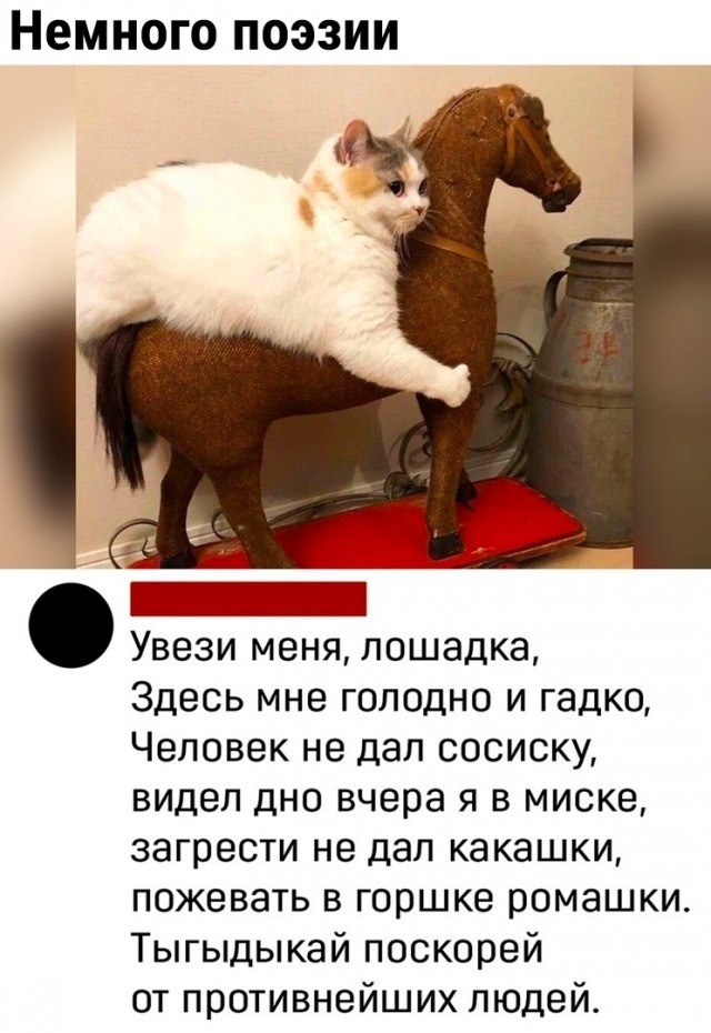 Без слов...