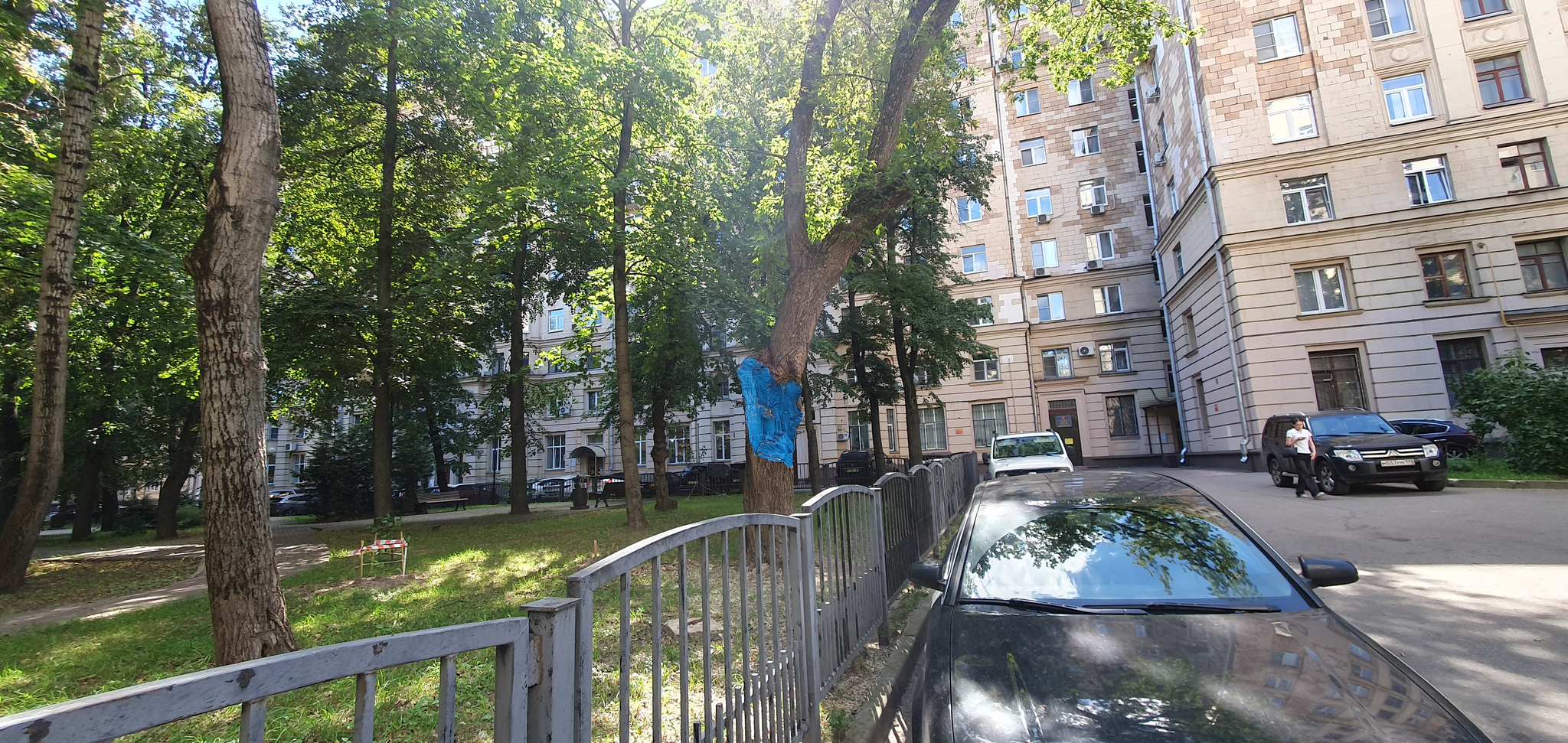 Creative Housing Manager - My, Survey, Housing and communal services, GBU Zhizhnik, Officials, Moscow, Tree, Longpost