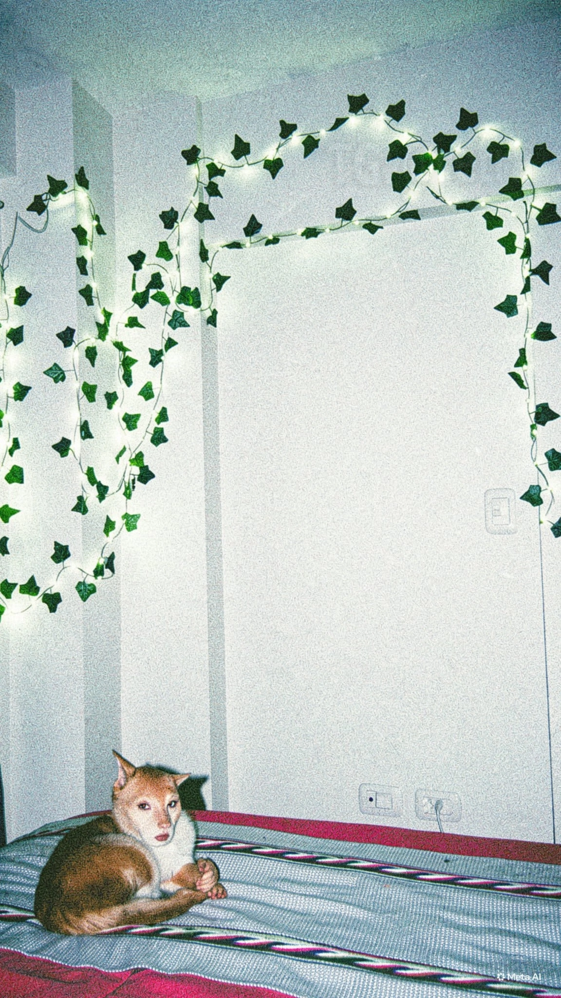 And again AI - Neural Network Content, Humor, Repeat, Neural network art, The photo, cat, Longpost