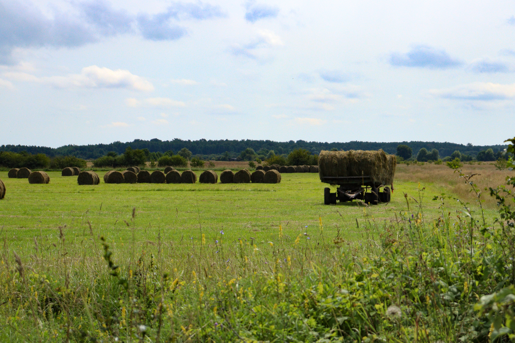 A little rural flavor from the Kaliningrad region - My, Travels, The photo, Mobile photography, Photographer, Beautiful view, Street photography