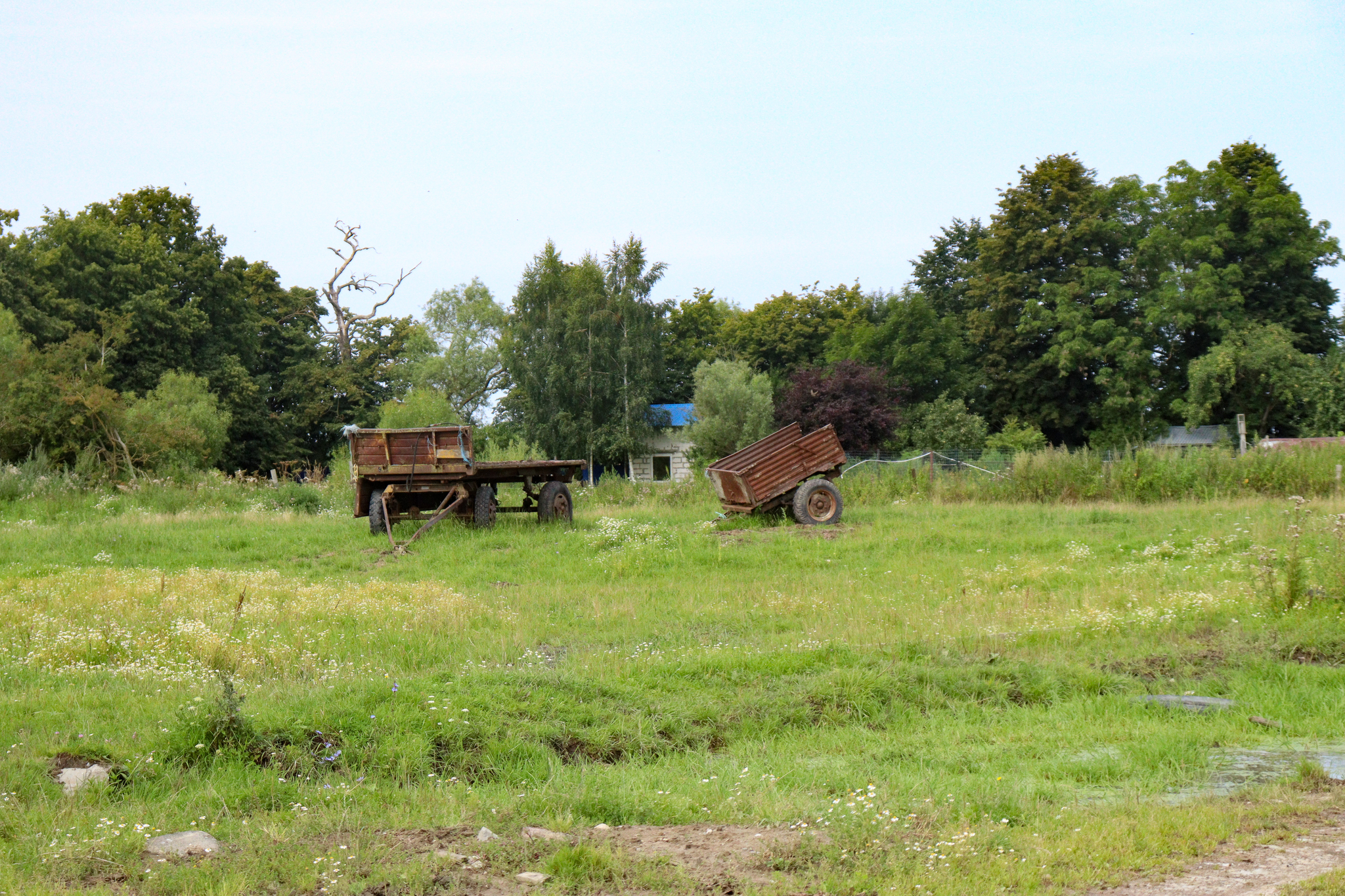 A little rural flavor from the Kaliningrad region - My, Travels, The photo, Mobile photography, Photographer, Beautiful view, Street photography