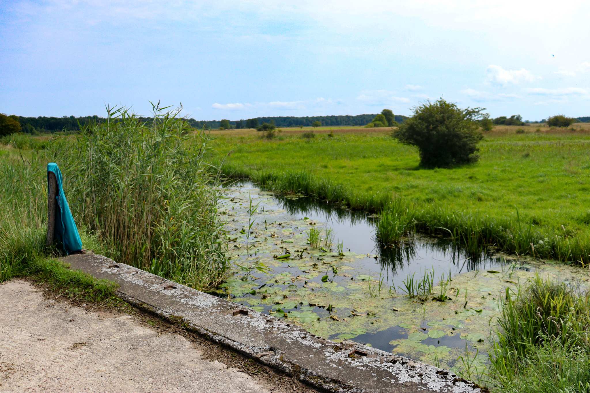 A little rural flavor from the Kaliningrad region - My, Travels, The photo, Mobile photography, Photographer, Beautiful view, Street photography
