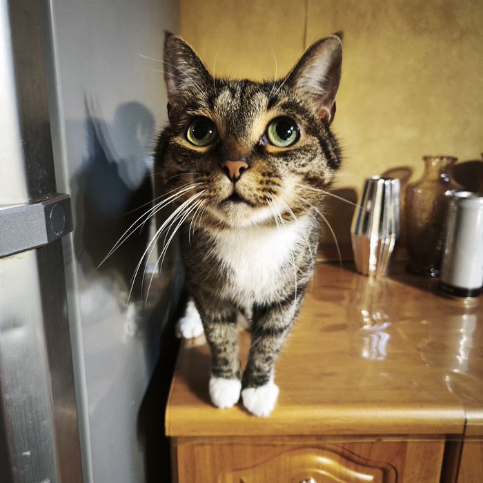 Дай Жрапт!!!