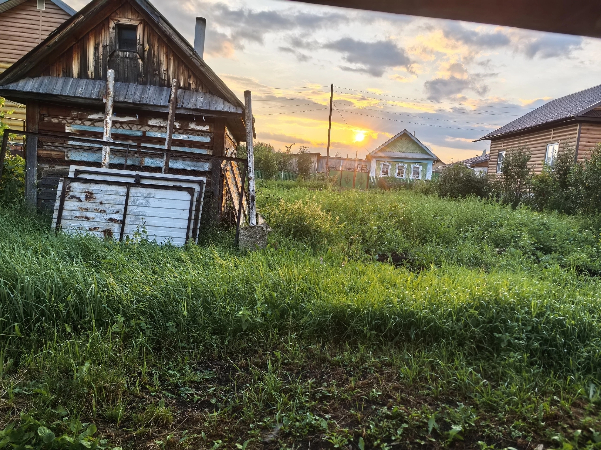 Summer in the village... - My, Summer, cat, Village, Sunset, Longpost