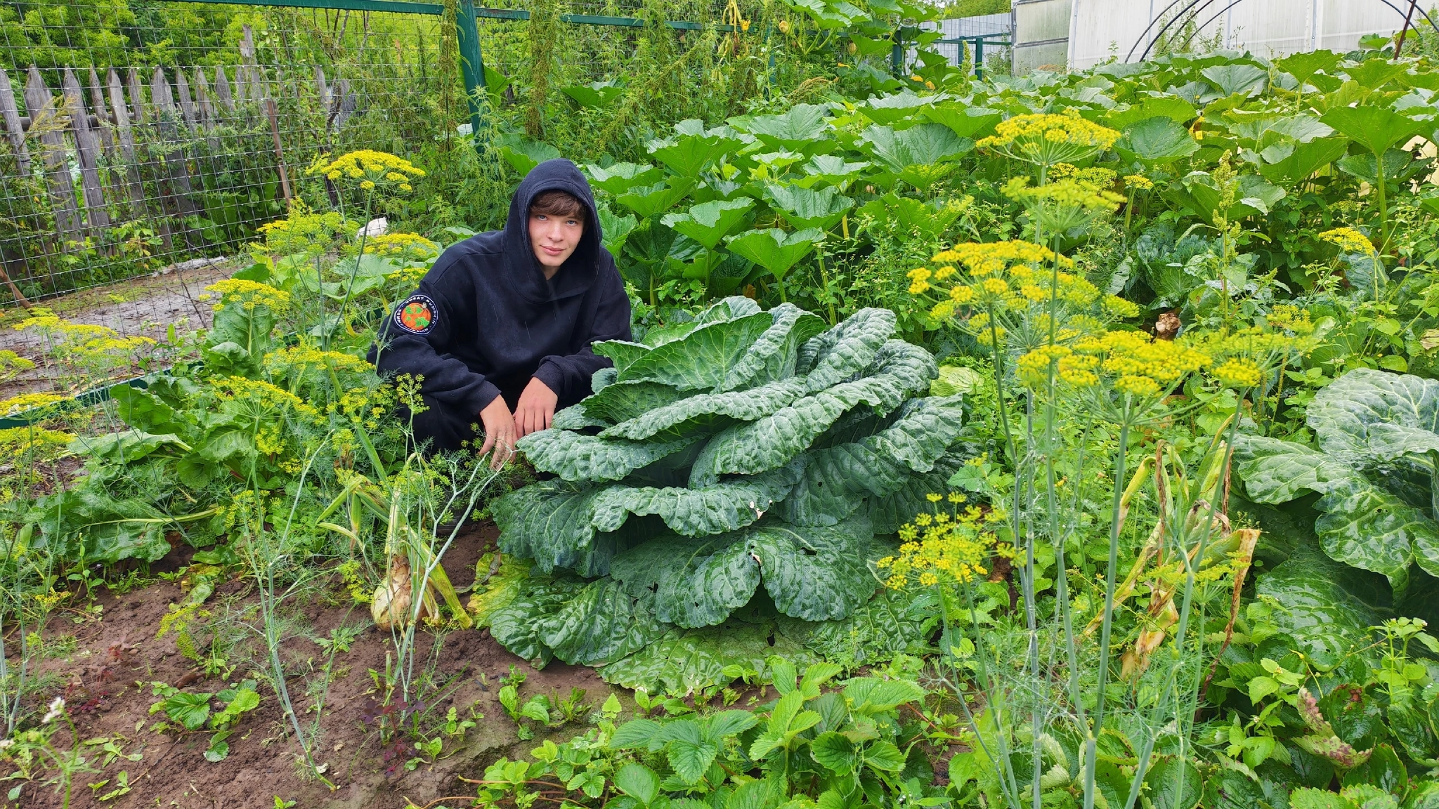Slowly, but they're coming - My, Garden, Gardening, Garden, Excess weight, Extremegrower, Giant pumpkin, Vegetables, Growing, Plant growing, Harvest, Video, Vertical video, Short videos, Video VK, Longpost