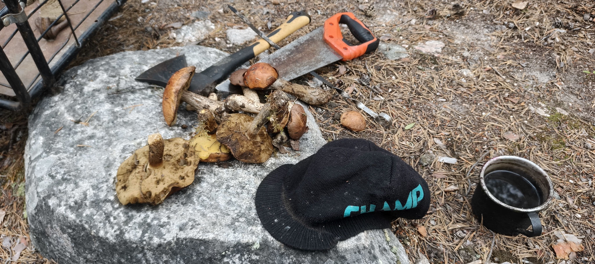 Walking from Moscow to Vladivostok. Across the Arctic, along the Northern Sea Route. Fully immersed in local culture. - On foot, Moscow, Louhi, Карелия, Teriberka, Vladivostok, Longpost