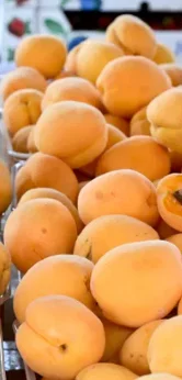 Armenia is losing more than 80% of its income - Series Armenia, Armenia, European Union, Apricot, Income, Interest
