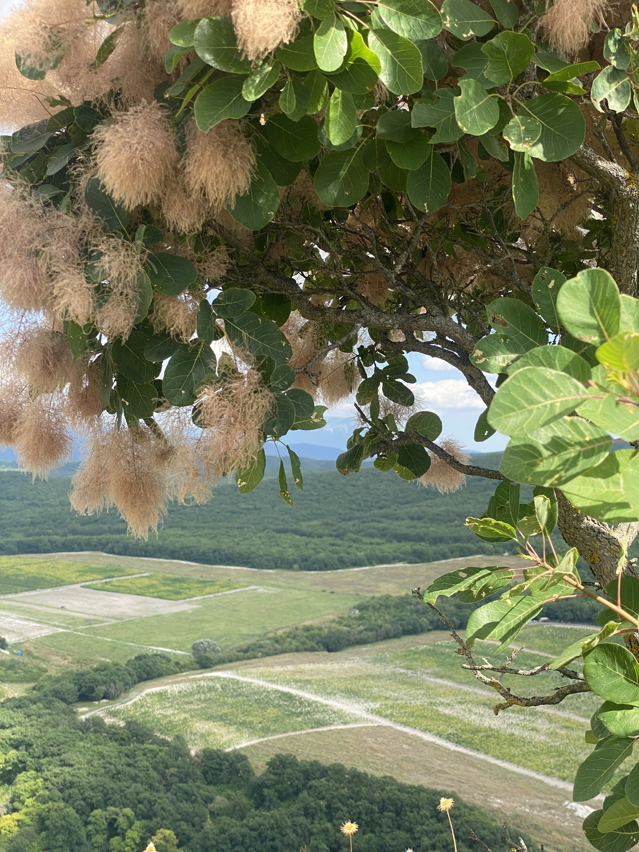 Two months of summer flew by too quickly, didn't they? - My, Crimea, Bakhchisarai, Local history, Tourism, The photo, Travel across Russia, Longpost