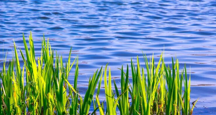 Lakes - Series Romance feelings love relationships, My, Poems, Love, Romance, The senses, Poetry, Lyrics, Creation, Literature, Work, beauty