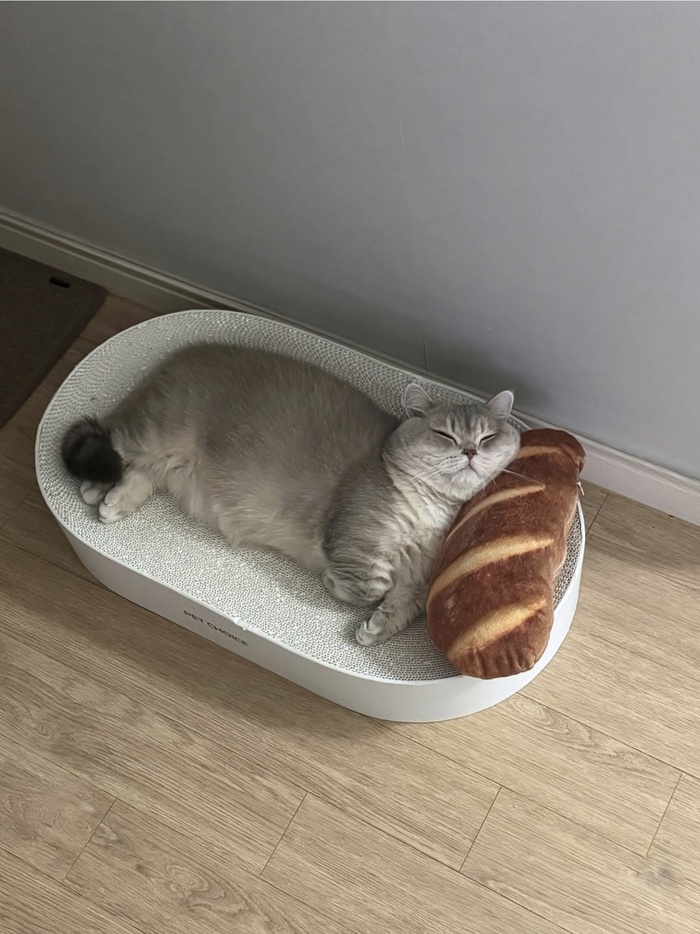 ��� ���