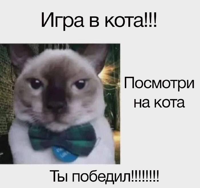��������� ����