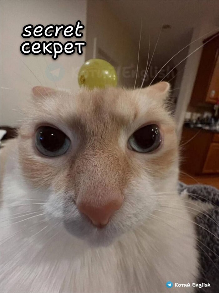 ������