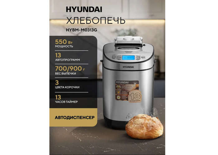 �������������� �������� ������ Hyundai HYBM-M0313G �� ����� ���������� � ������� ��������������� �����.