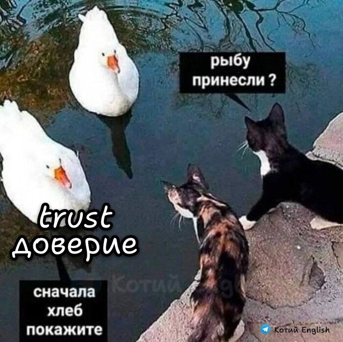 Доверие
