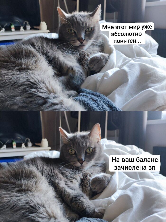 Поднялось немножко настроение