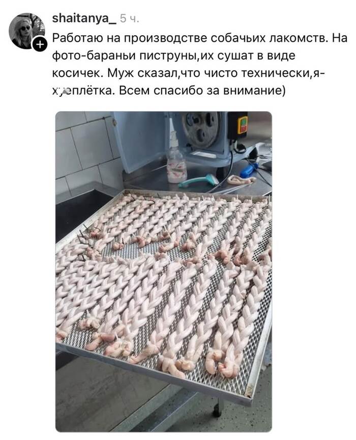 можно же работников завода по изготовлению вентиляторов, называть вуздуханами?