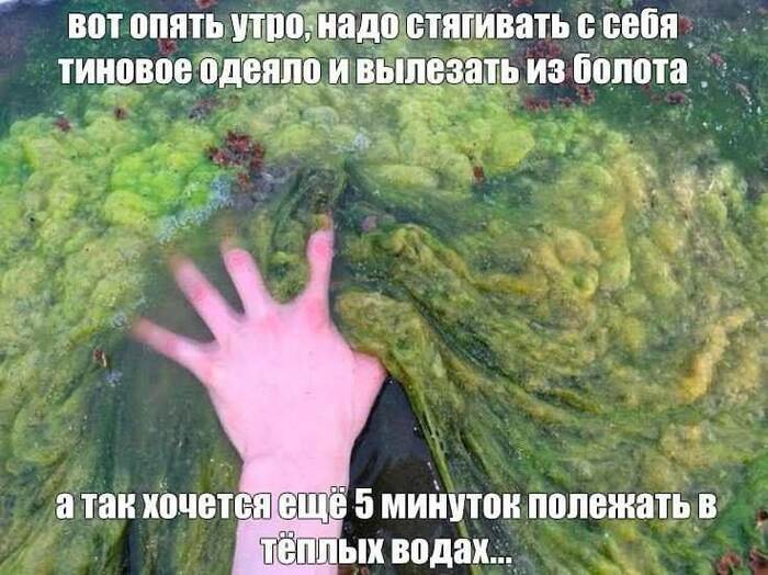 Стабильность