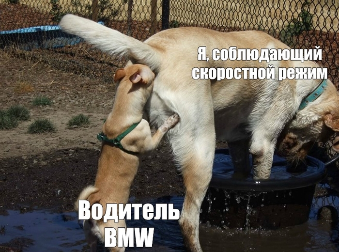 ����� �� ���� ������������