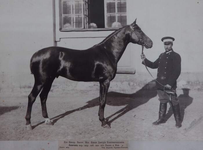 ������� �� ����� � ��� 1893 ���� ��������