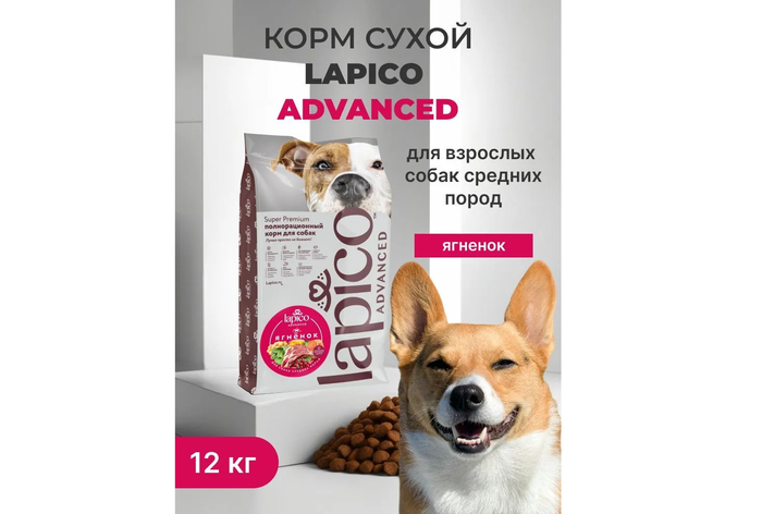 ������������������ ����� ���� Lapico �� ������� ��� �������� ���� ����� ������� �����