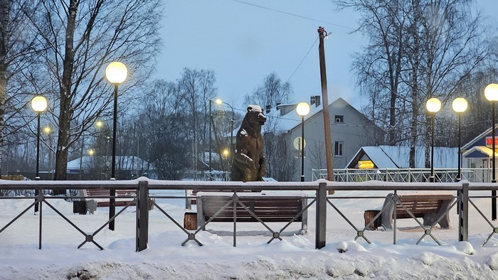 Медведь, да в Медвежьегорске